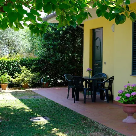 Tenuta Lo Scricciolo * Orentano