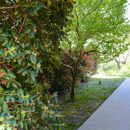 Tenuta Lo Scricciolo Σπίτι διακοπών